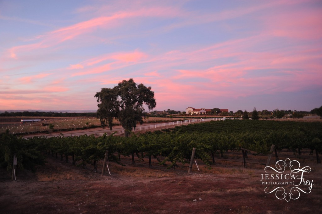 Paso Robles sunset photo