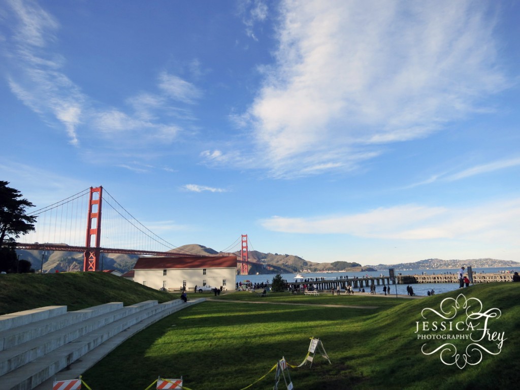 Golden Gate park view