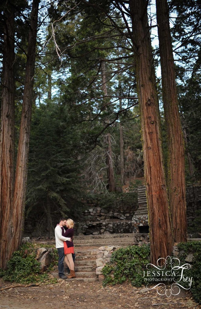 engagement photos in a forest