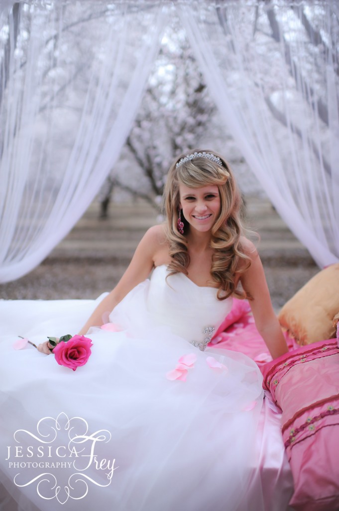 Jessica Frey Photography fairy tale photo shoot, pink and gold wedding