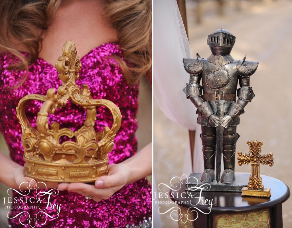 Jessica Frey Photography, gold crown, knight in armor, sparkly pink dress