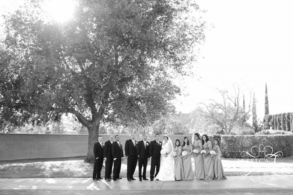 David & Shereen wedding, Bakersfield wedding photographer