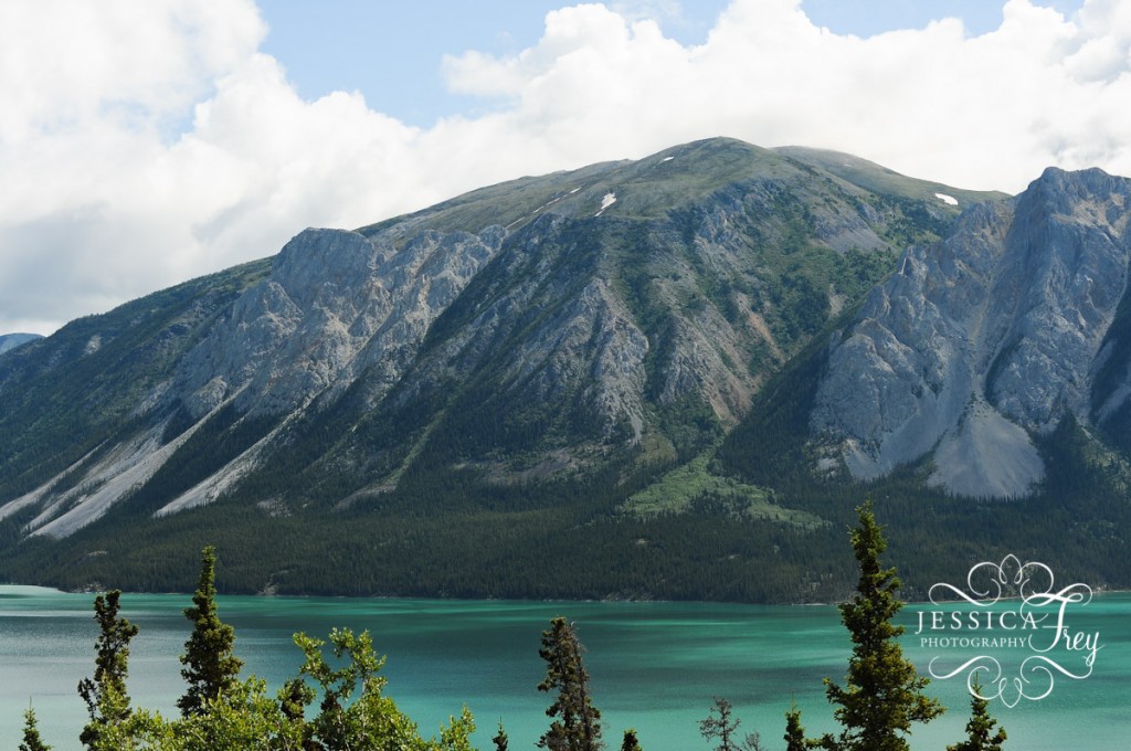 Jessica Frey Photography