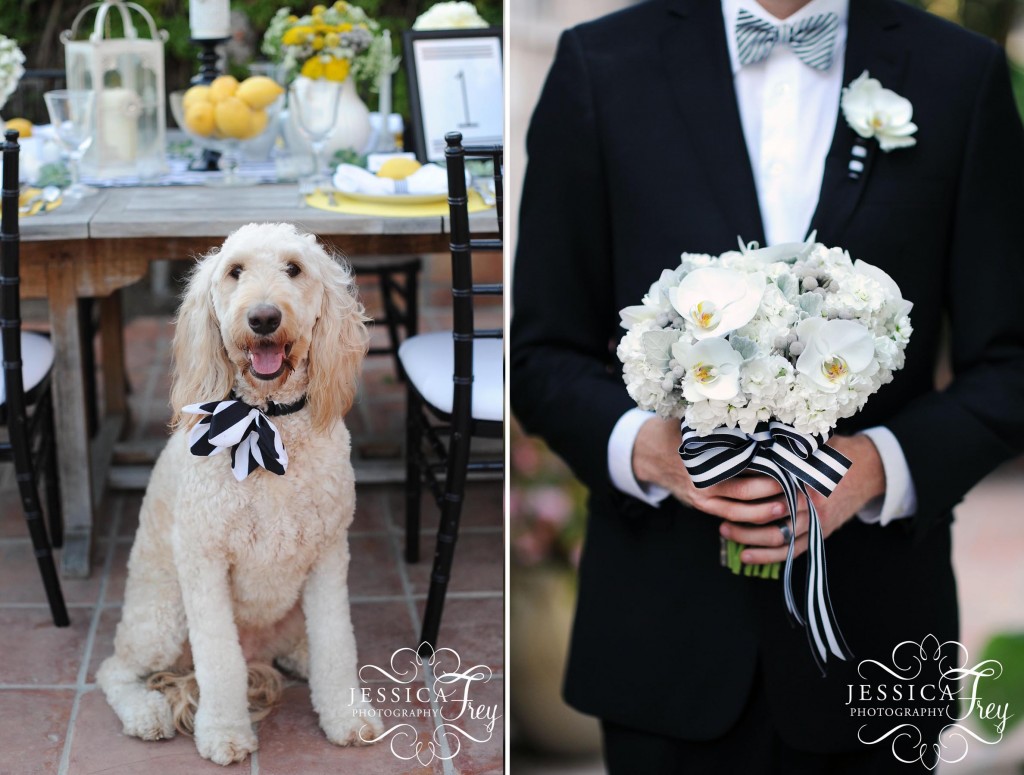 Jessica Frey Photography, beach wedding, black and white stripe wedding, white and black wedding bouquet, lemon & succulent wedding