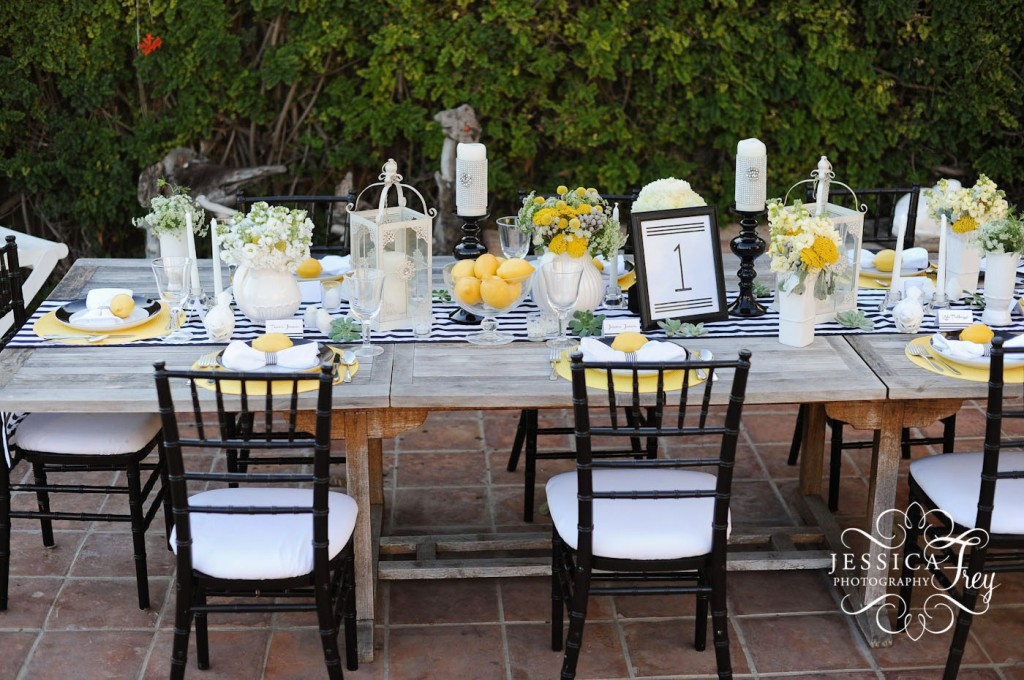 Jessica Frey Photography, beach wedding, black and white chivari wedding chairs, black and white stripe wedding, lemon & succulent wedding