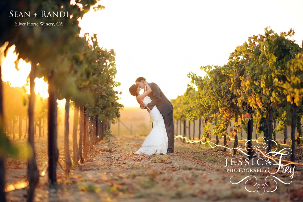 Vendors:  Photography:  Jessica Frey Photography  2nd Shooter: Casey Hardy  Location: Silver Horse Winery, Paso Robles CA  Flowers: Flower Bar - Bakersfield, CA  Wedding Dress: Maggie Sottero  Wedding Coordinator:  Mary Allegretta-Butler, Joyfully Joined  ***Come back on Monday for more images from Sean & Randi's beautiful vineyard wedding at Silver Horse Winery!!***  