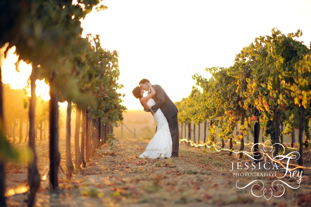 Jessica Frey Photography, vineyard wedding photography