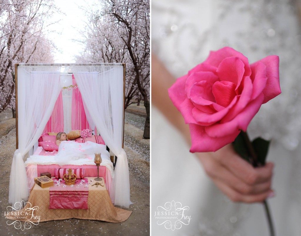 Jessica Frey Photography, Fairy Tale Wedding