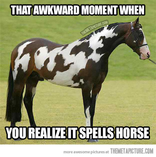 cool-horse-hair-words-letters