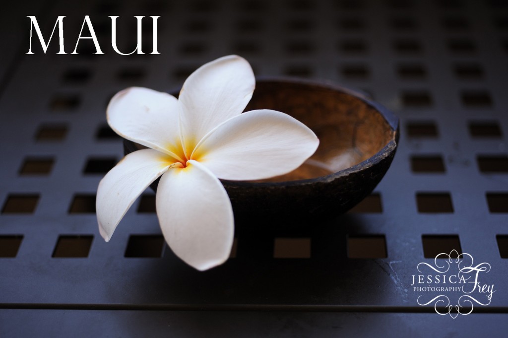 Jessica Frey Photography, Maui wedding photographer, Maui photos, plumeria