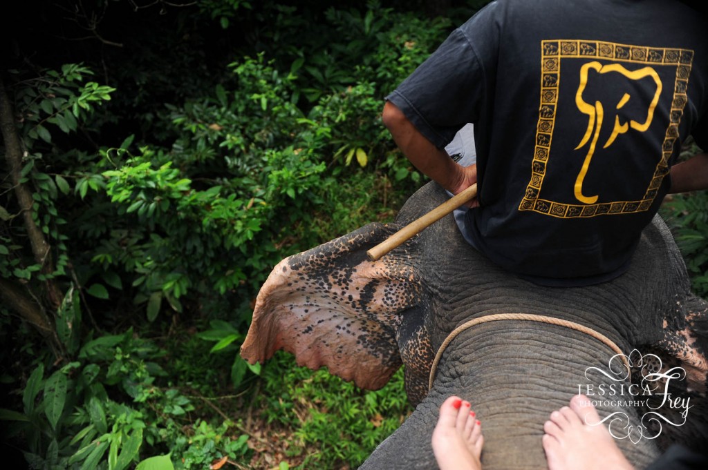 Jessica Frey Photography, Elephant ride thailand