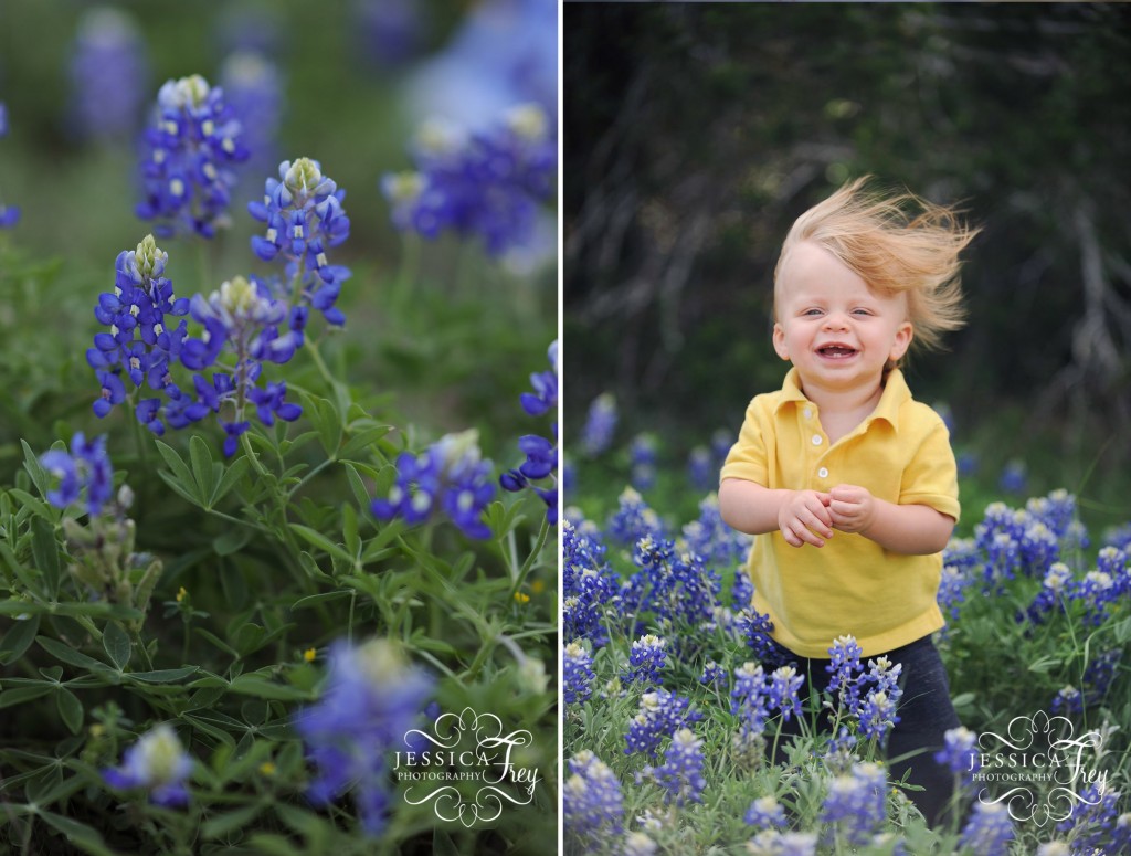 Austin-bluebonnet-photos