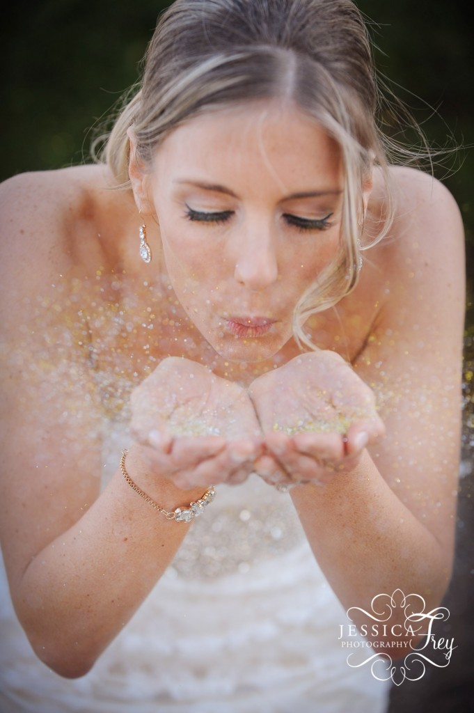 Jessica Frey Photography, Austin Wedding Photographer, Austin bridal portraits, Texas State Capitol Bridal Portraits