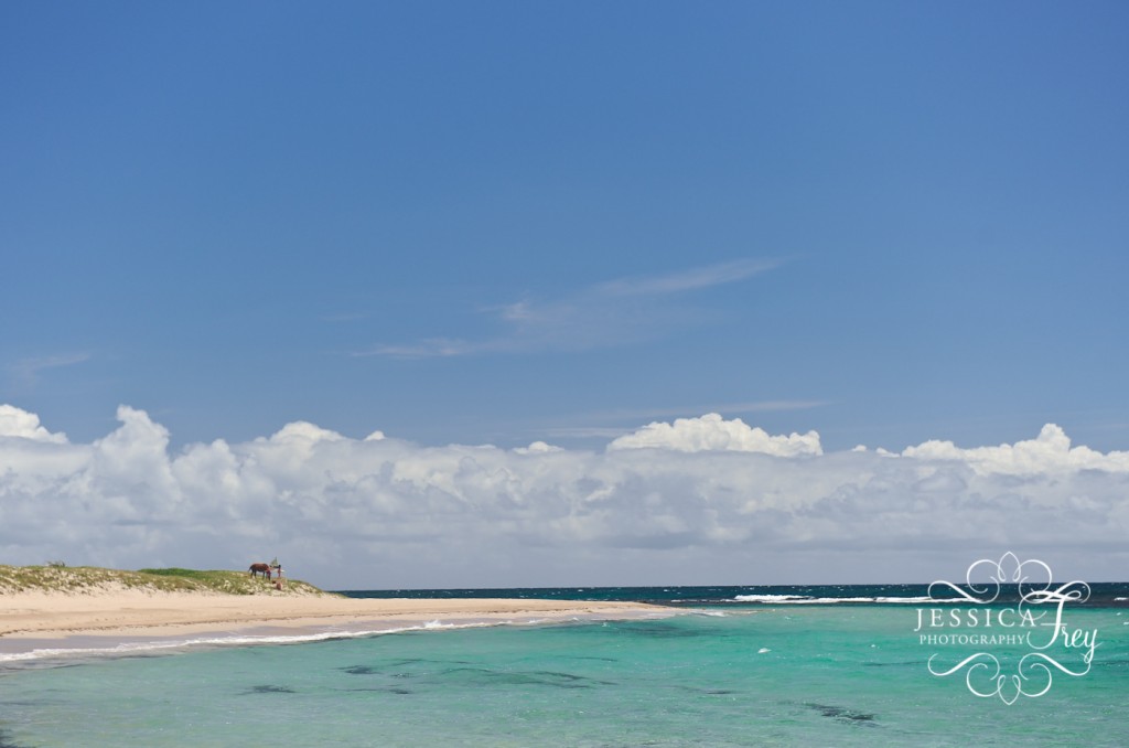 Jessica Frey Photography, Carnival Valor
