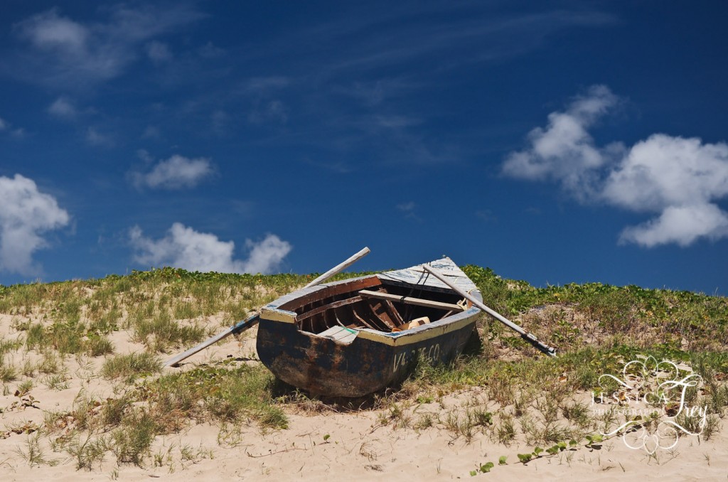 Jessica Frey Photography, Carnival Valor, St. Kitts Marriott