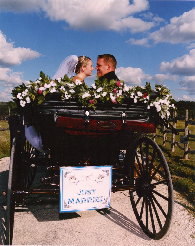 Wedding day carriage