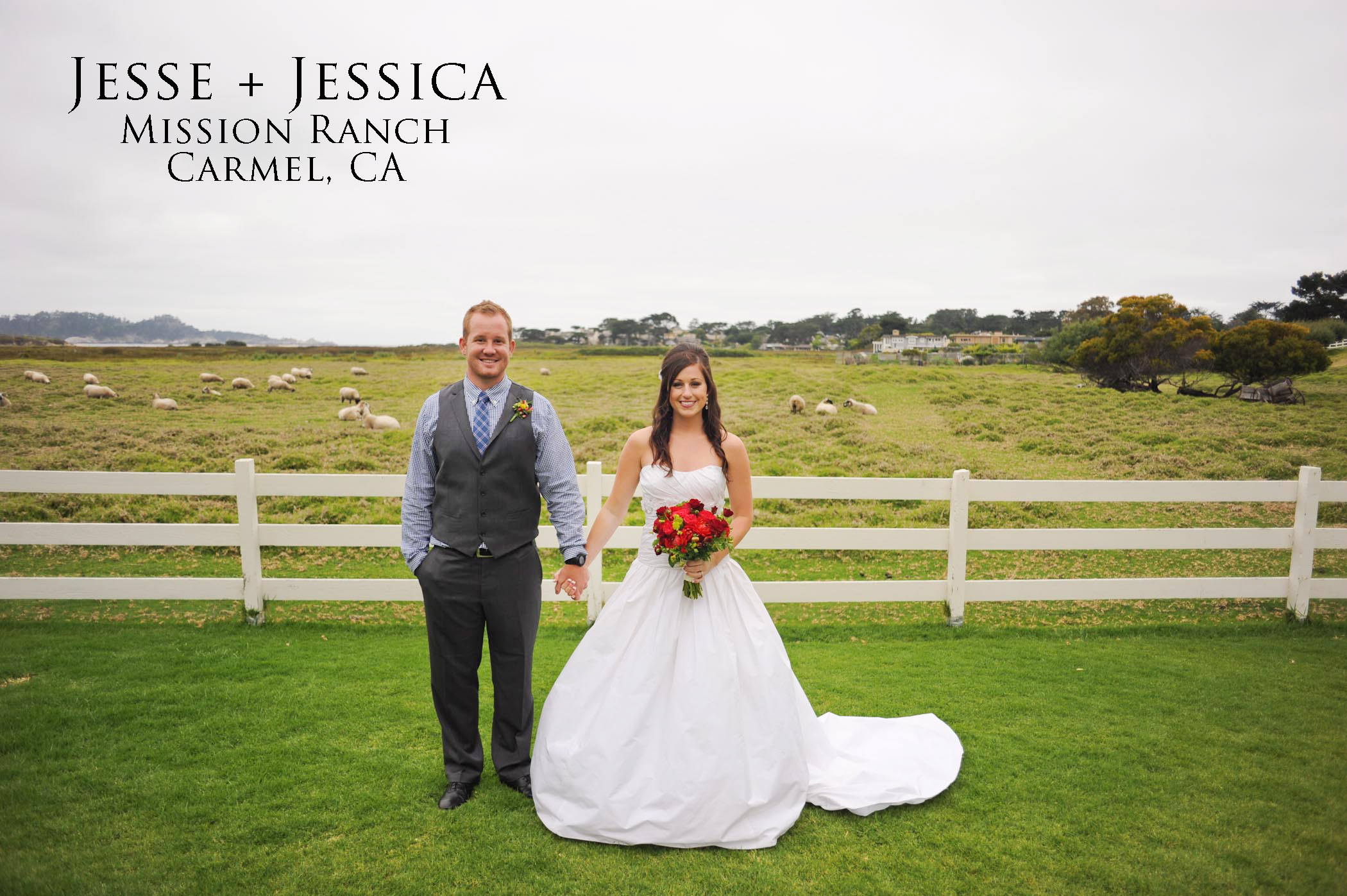 Jessie Jessica S Carmel Mission Ranch Wedding Austin Carmel Wedding Photographer